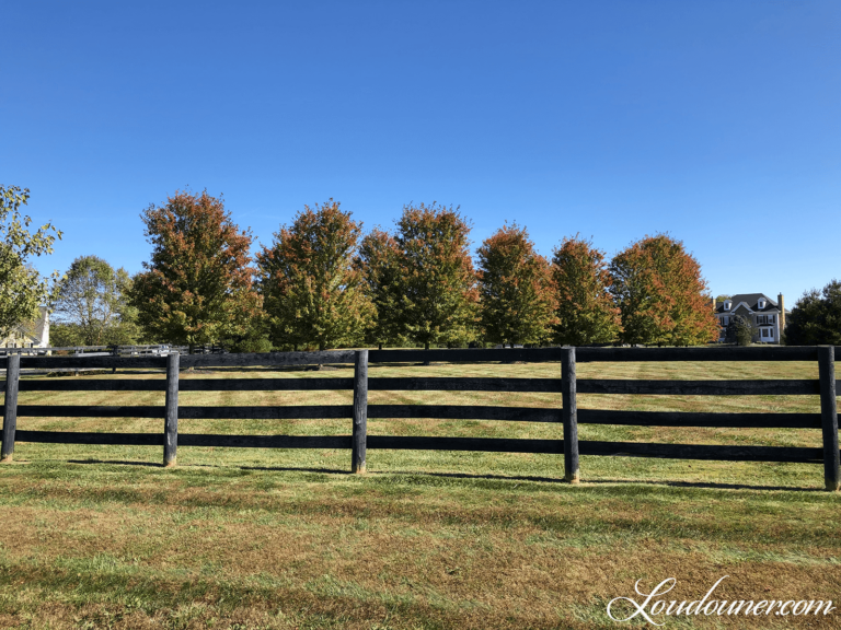 Home Inspections Loudouner