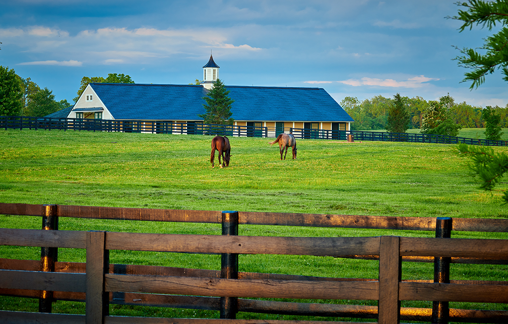 Horse farms