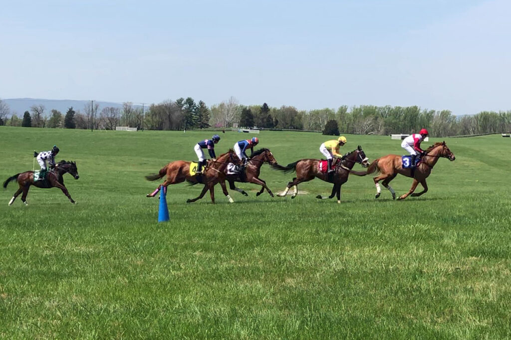 Middleburg spring races