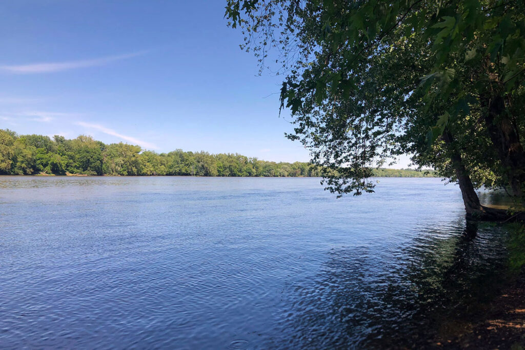 Fishing on the Potomac