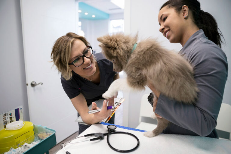 Vets in Loudoun County