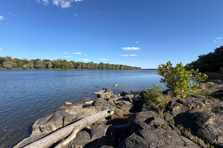Bazil Newman Riverfront Park