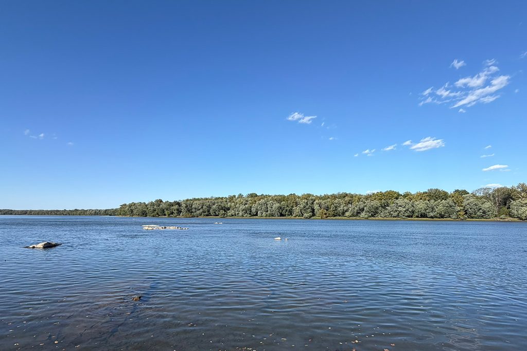 Canoe and Kayak at Bazil Newman Riverfront Park