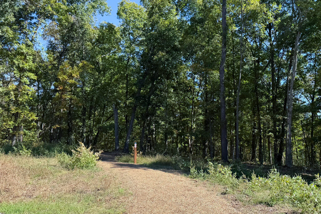 Hiking at Veterans Park