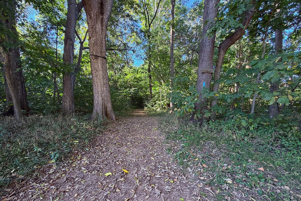 Trails at Bazil Newman Riverfront Park